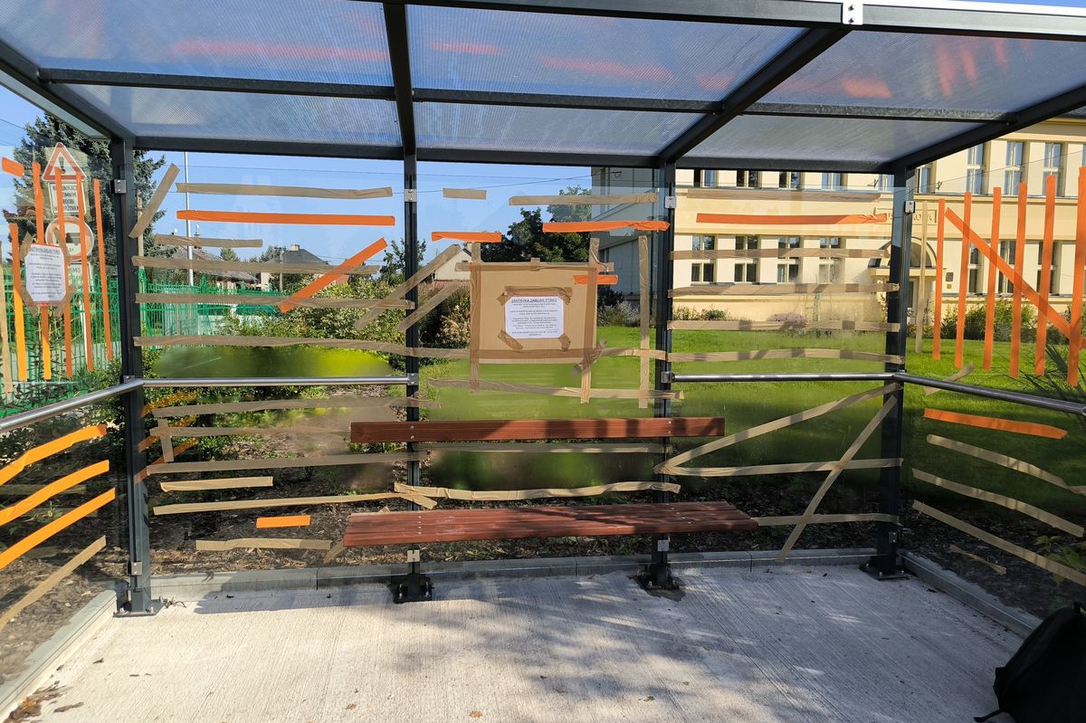 Prosklená zastávka v Hradci Králové se stala smrtící pastí pro desítky ptáků