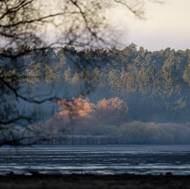 Rozbřesk nad Horusickým rybníkem