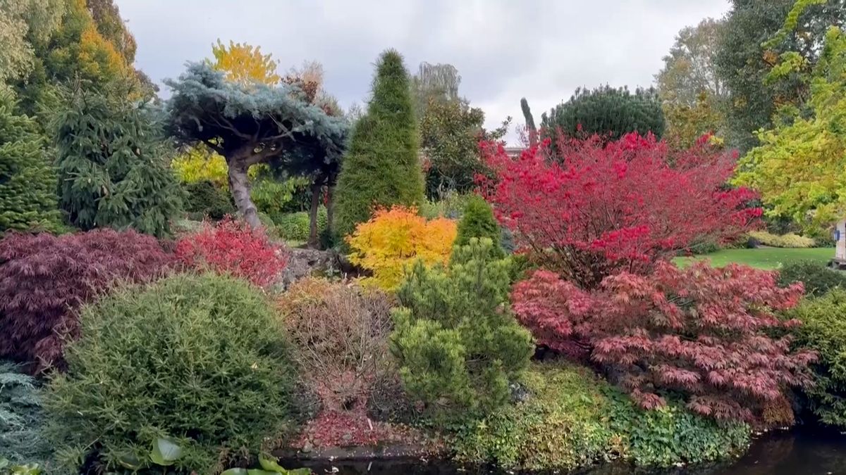 Zahrada britského penzisty hraje na podzim všemi barvami, pečuje o ni už 27 let