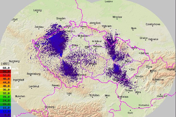 Obrovská noční migrace ptáků. Hejna nad Českem zachytil meteorologický radar