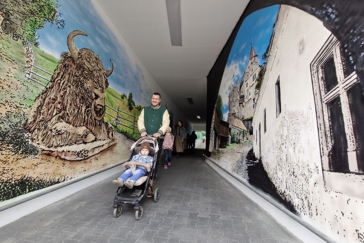 Sprejer přenesl na zeď Pernštejn i zubra. Průchod vyzdobený muraly už přitahuje pozornost