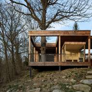 Do terasy architekti zakomponovali i stávající dub.