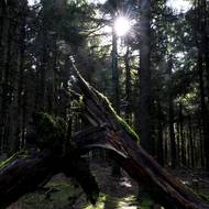 Podzim v Jizerských horách