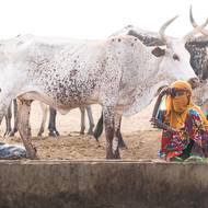 Do oblasti severní Afriky a Blízkého východu lákají Češku zejména lidé.