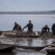 Rybáři stahují sítě.