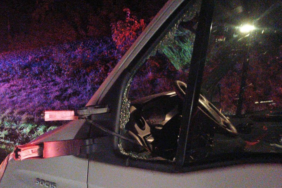 Golf se na Jindřichohradecku srazil s koněm. Kvůli mlze jsou na jihu Čech dvě desítky srážek se zvěří