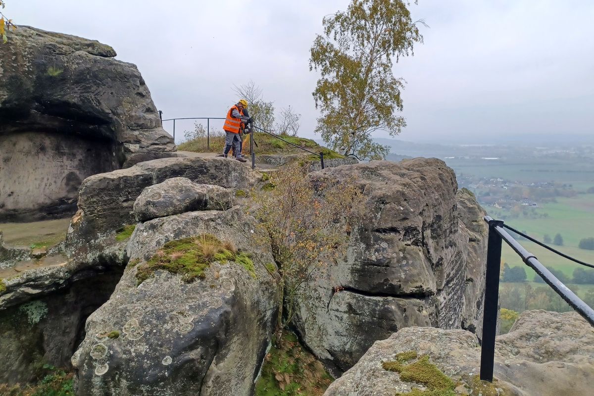 Hnízdící sokoli pozdrží opravy cest ve skalách Českého ráje