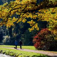 Říká se, že nejhezčí je park na jaře, ale i podzim láká ke krásným výletům.