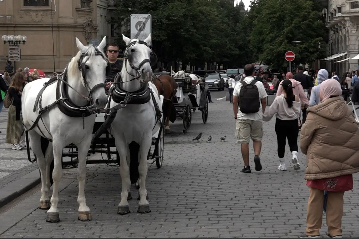 Koňské povozy u pražského orloje skončí, rozhodla rada města