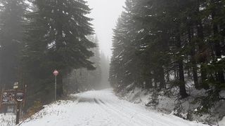 Na Vánoce přijde sníh a mráz