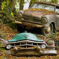 V Německu, nedaleko Düsseldorfu, je zvláštní les. Už 25 let v něm je umístěno 50 automobilových veteránů, o které se nikdo nestará. 