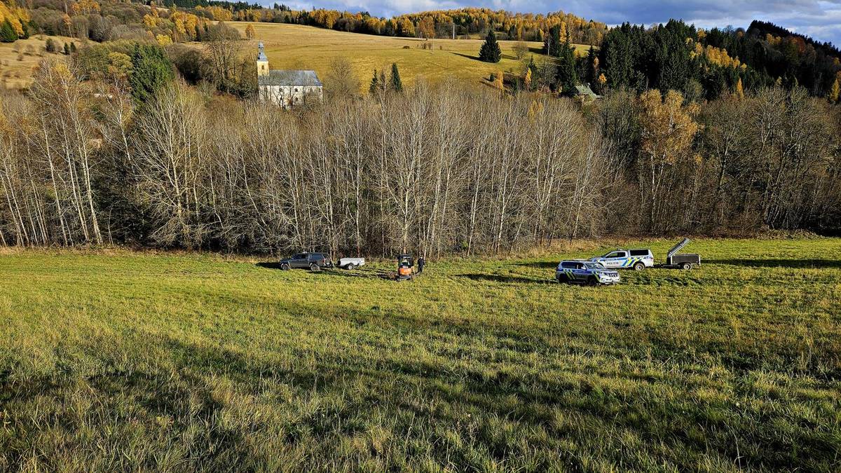 K nálezu došlo v Bartošovicích v Orlických horách.