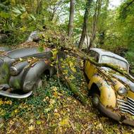 O auta se v lese nikdo nijak nestará. Majitel z nich pouze na začátku odstranil provozní kapaliny kvůli ekologii. 