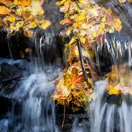 Park a jeho sbírky rostlin byly v roce 2010 zapsány na Seznamu světového dědictví UNESCO.