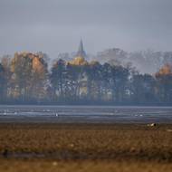 Horusický rybník je s rozlohou 415 ha a objemem 3,97 mil. metrů krychlových třetím největším rybníkem České republiky.