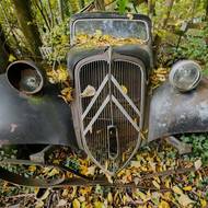 Lesu se říká „hřbitov aut“ nebo automauzoleum. Nicméně není veřejně přístupný, jde o Frölichův soukromý pozemek. 