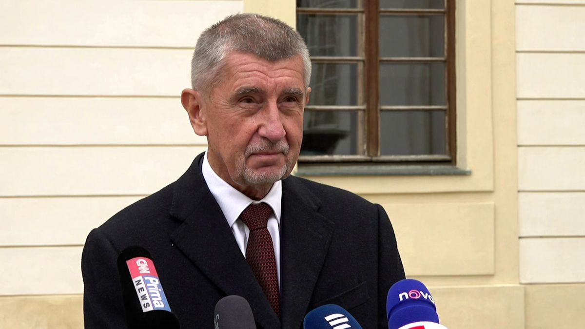 Většina Čechů je pro vydání Babiše k trestnímu stíhání, ukazuje průzkum