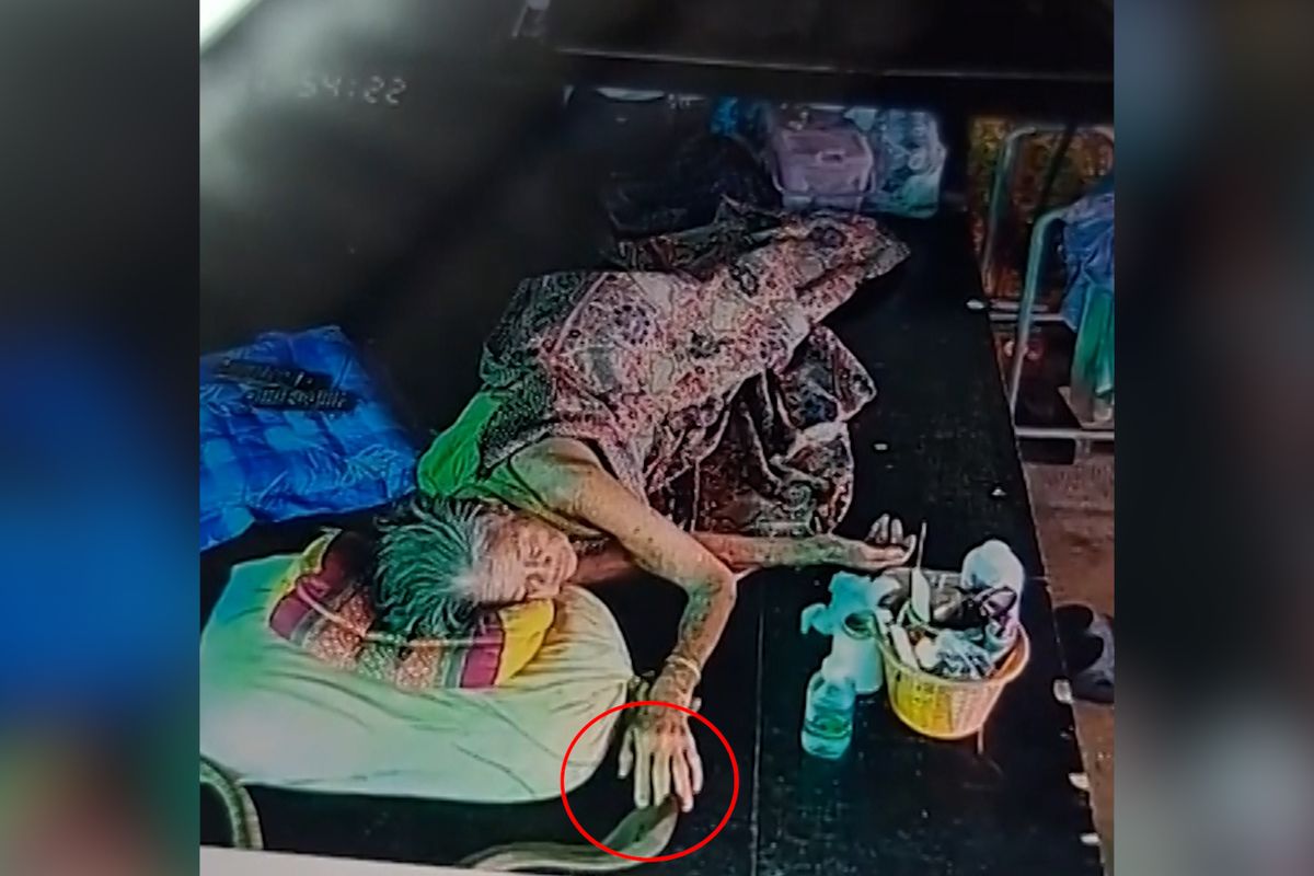 Kobra v Thajsku několikrát uštkla spící ženu. Útok zachytila kamera