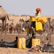Kromě Blízkého východu má Češka projetou i severní Afriku a oblast Sahelu.