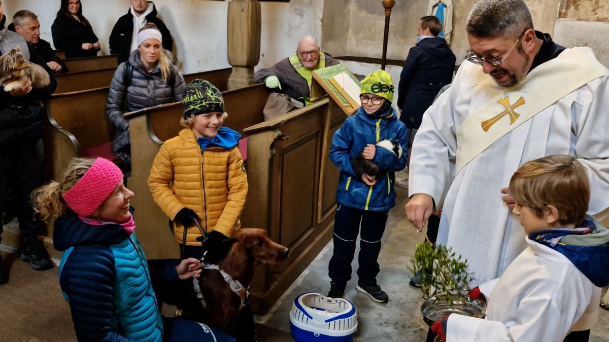 Kostelem na Liberecku zněl štěkot psů, požehnali jim i jejich pánům