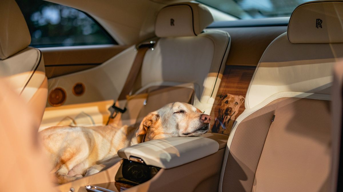 Rolls-Royce proměnil luxusní kupé v pojízdnou připomínku milovaného psa