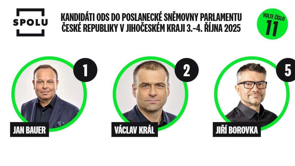 Tvrdá rána pro silnou jihočeskou ODS. Její kandidáty tam „překroužkovali“ slabí lidovci