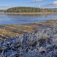Velké Dářko, které patří i k oblíbeným turistickým cílům, už je po přehnání ryb do Nového rybníka zase ze třetiny napuštěné.