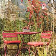 Zatímco v některých letech budou stromky obsypané, jindy toho moc neurodí. Ale to je v pořádku. Jednou za čas si prostě potřebují oddechnout.