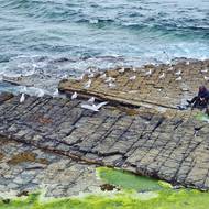 Cestování nám pomáhá vidět krásu i tam, kde bychom ji nehledali. Irsko.