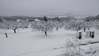 Česko zasype sníh, pak přijde ledovka 