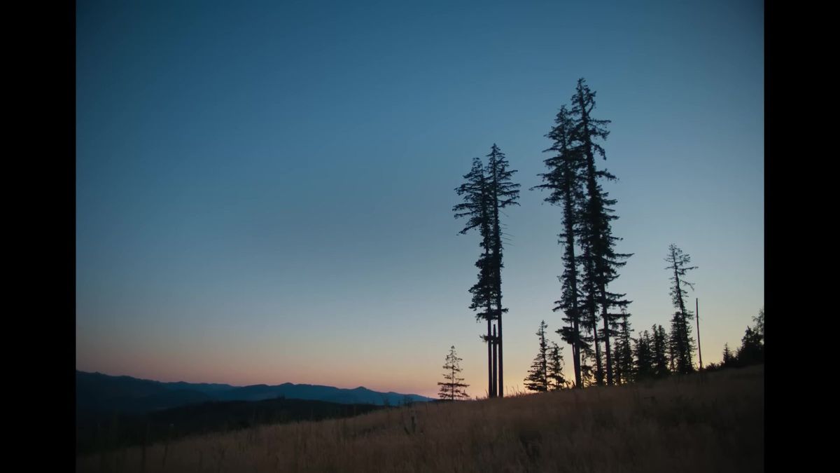 RECENZE: Získá Oscara? Film Sny o vlacích podmanivým způsobem hovoří o ztrátách i budování mostů