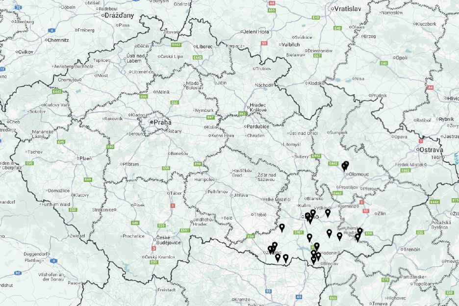 Smrtelně nebezpečná nemoc zajíců a králíků se šíří východem Česka, přešla už i na Slovensko