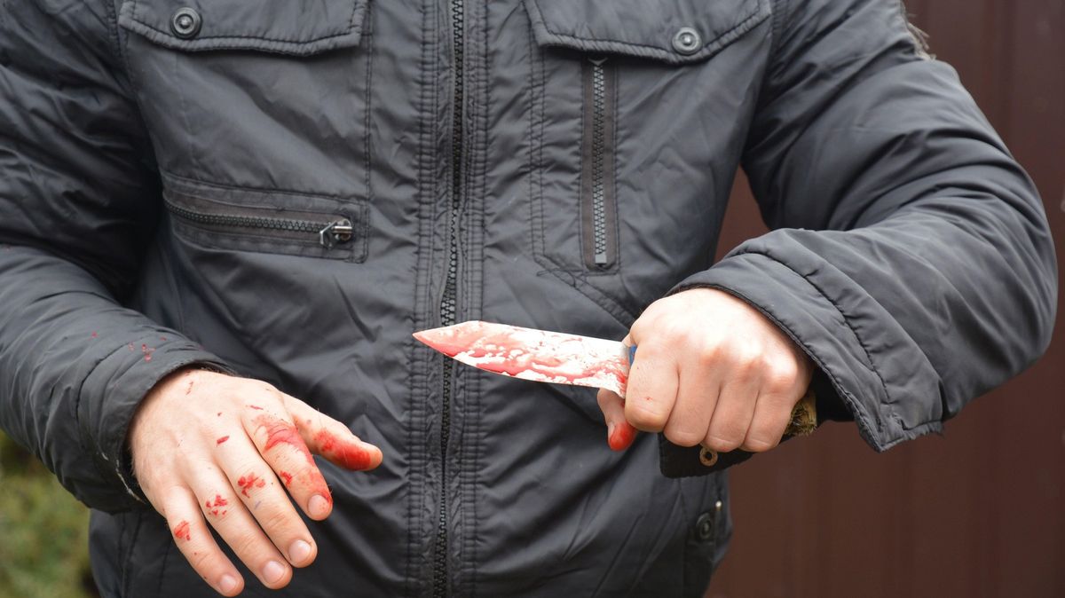 Těsně před útokem ve vlaku si britská vláda libovala, jak jí klesá kriminalita za použití nožů