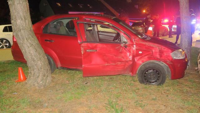 Zfetovaný, bez řidičáku a se zákazem ujížděl v Přerově policistům. Narazil do stromu