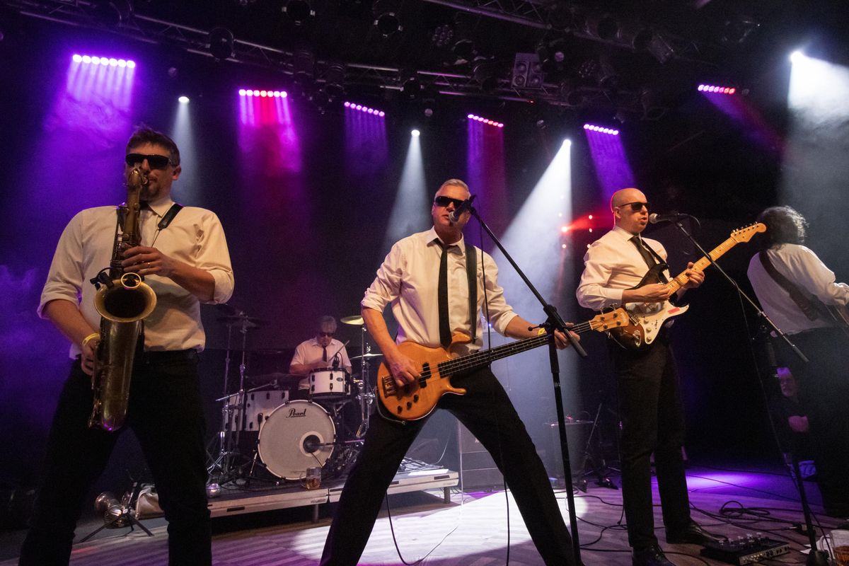 Náš optimismus a energie tehdejšímu režimu vadily, říká Karel Šůcha z kapely Laura a její tygři