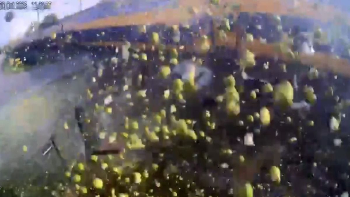 Vlak v Nizozemsku rozstřelil na přejezdu kamion plný hrušek