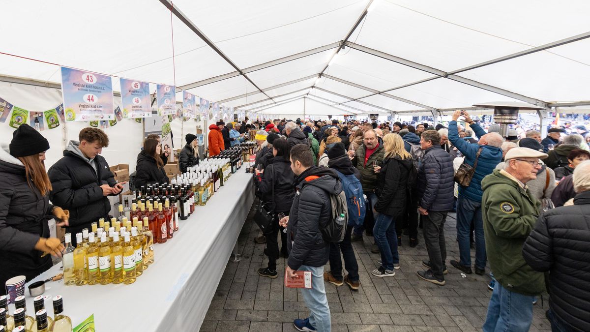 Svatomartinské víno zamířilo na trh mimořádně brzy. Obchodníci si to vyžádali