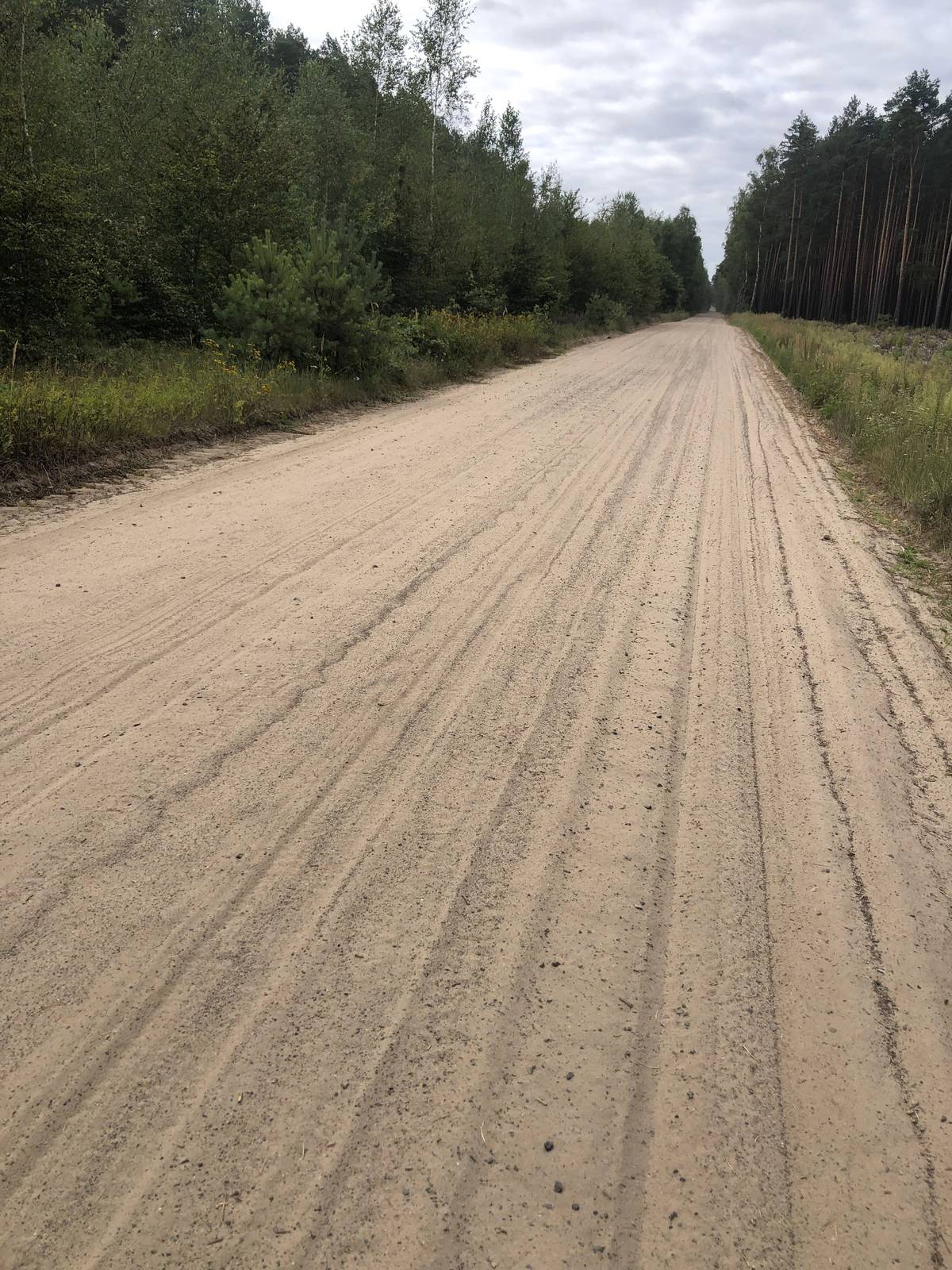 Cestování přes Polsko bylo hrozné hlavně kvůli cestám z písku, po nichž musel Petr Bílek kolo často tlačit.