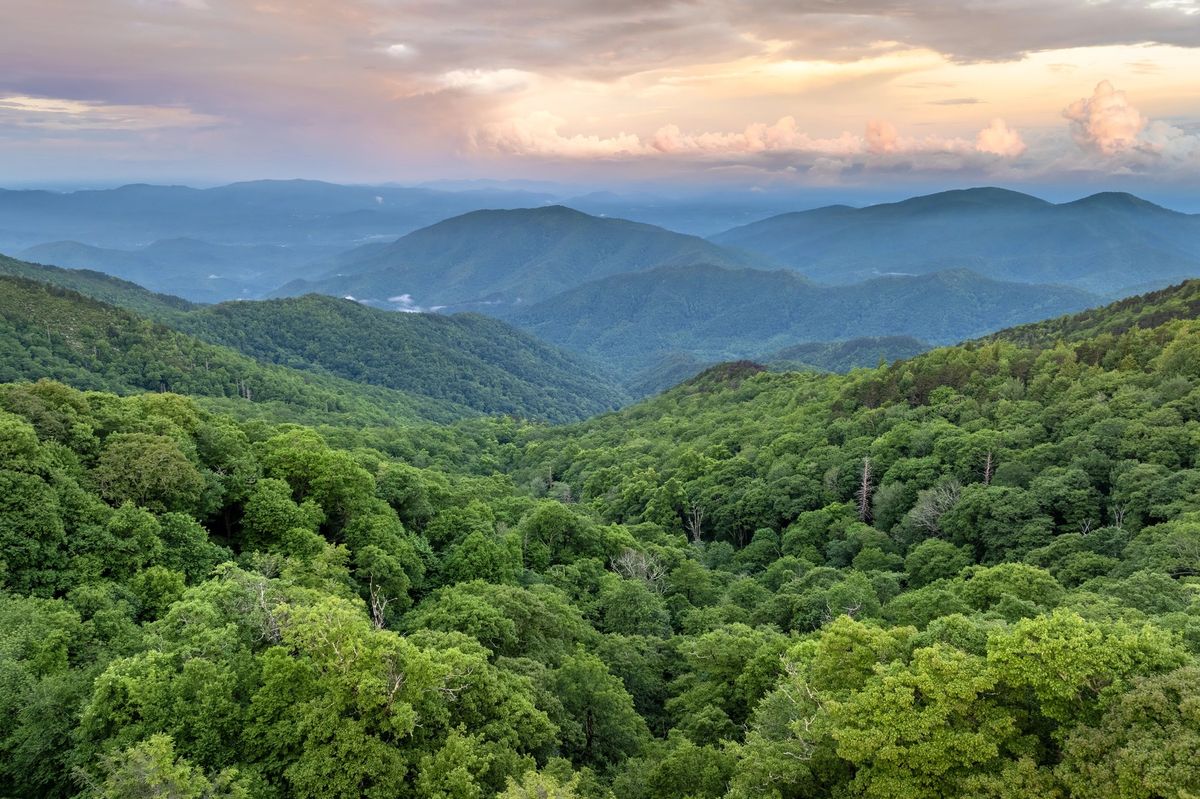 Američanka v 80 letech ušla 3500 kilometrů. Stala se Legendou