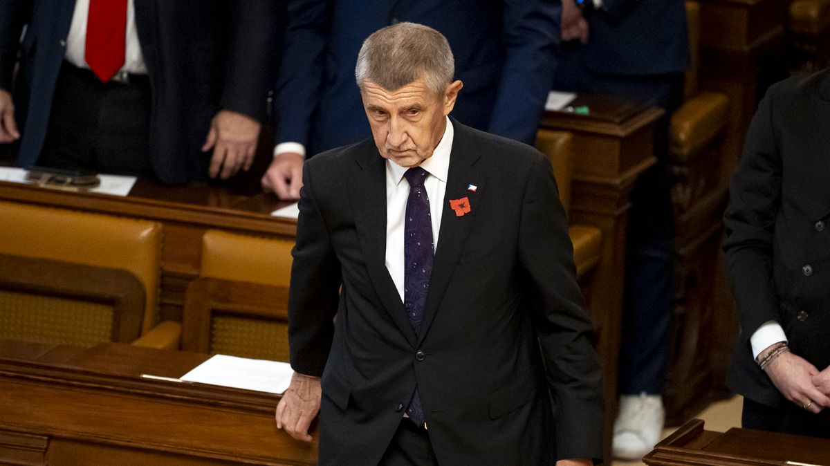 PŘEHLEDNĚ: Střet zájmů Andreje Babiše