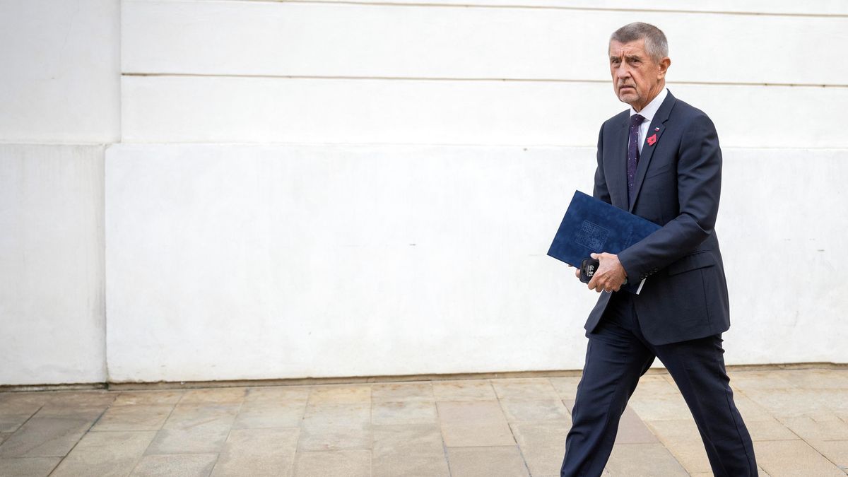 Právníci: Prezident může Babiše jmenovat hned. Ale Agrofert přijde o dotace