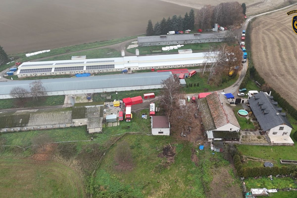 Ohnisko ptačí chřipky u Lanškrouna pomáhá likvidovat také dvacet vězňů