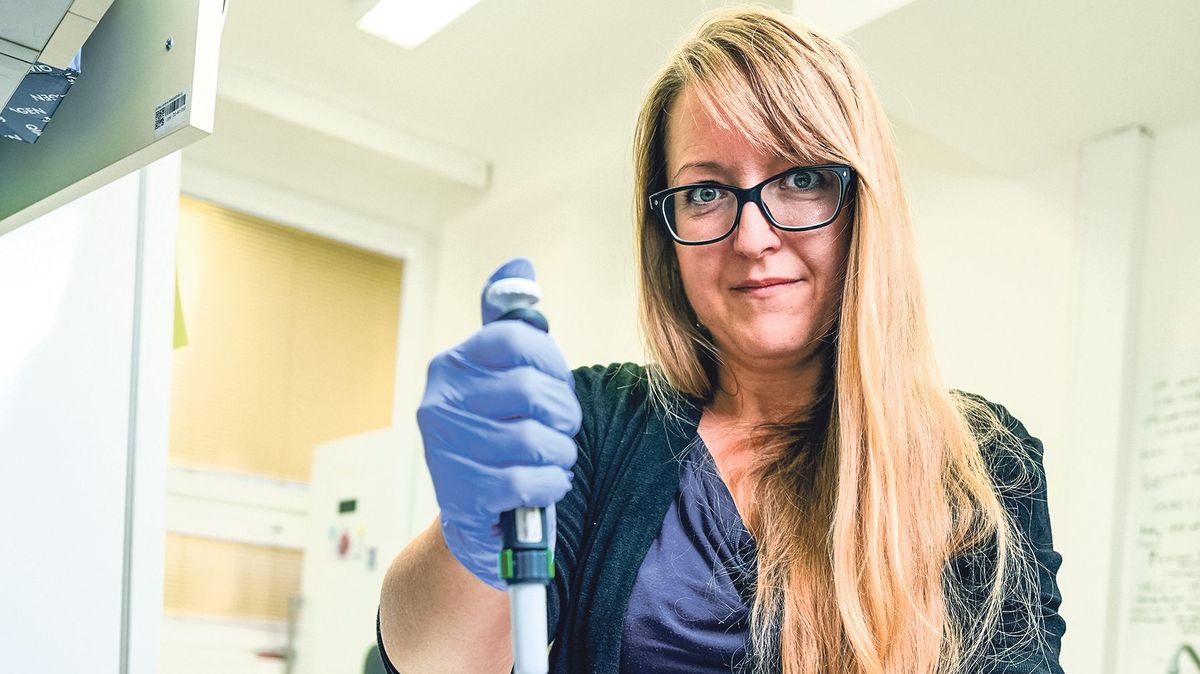 Klonování psů či dostihových koní dnes známka luxusu, brzy běžná věc. Jak tomu bude u člověka? 