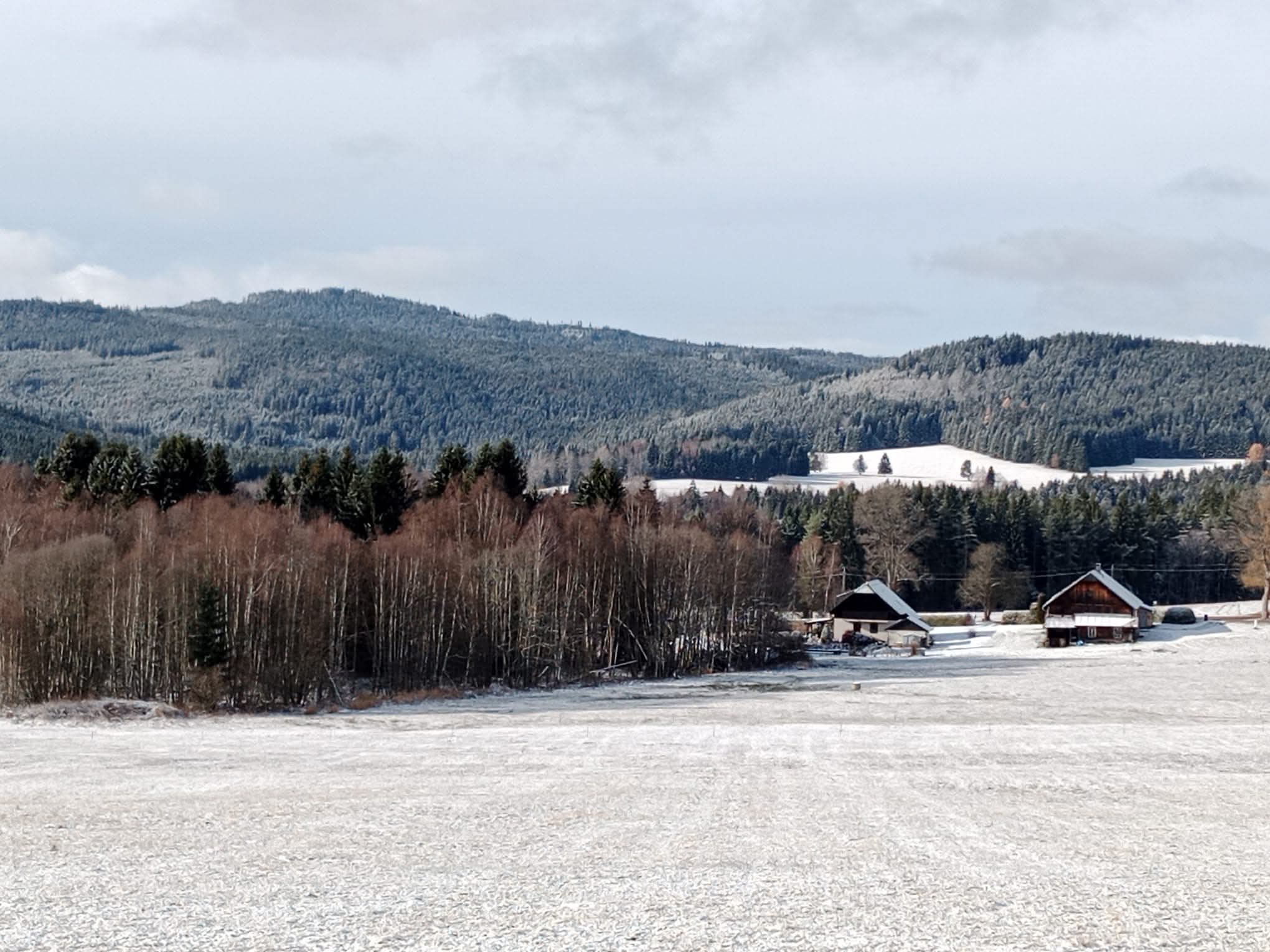 Česko v mrazu: na Šumavě a v Krušných horách až kolem −25 °C, o víkendu napadne sníh
