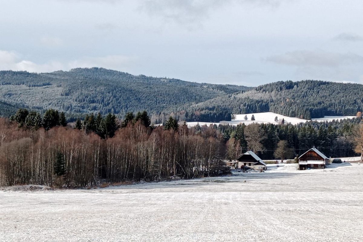 Česko sevřel mráz. Na Šumavě klesly teploty k minus 25 stupňům Celsia