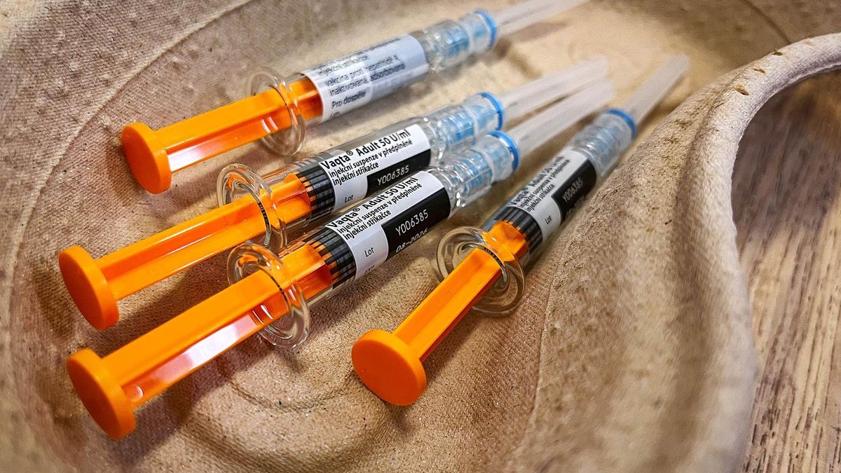 Nakažených žloutenkou A i lymeskou borreliózou loni výrazně přibylo