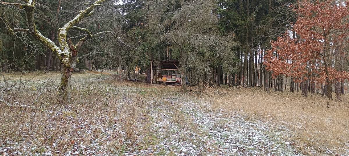 Během léta přišel Zdeněk o střechu nad hlavou, a tak si postavil stan v lese nedaleko rodného Černošína na Tachovsku.