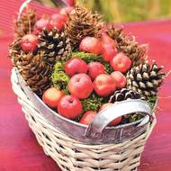 Stačí pár jablíček doplnit několika dalšími plody a dekorace je hned na světě.