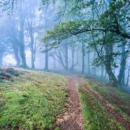 Mystické lesy Baskicka podněcují fantazii.