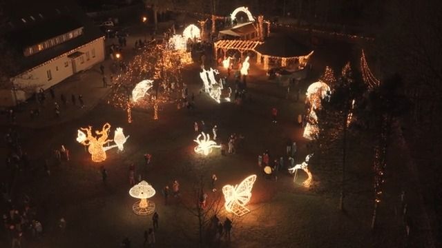 Jako v pohádce. Světelná podívaná láká do ostravského lesoparku davy lidí